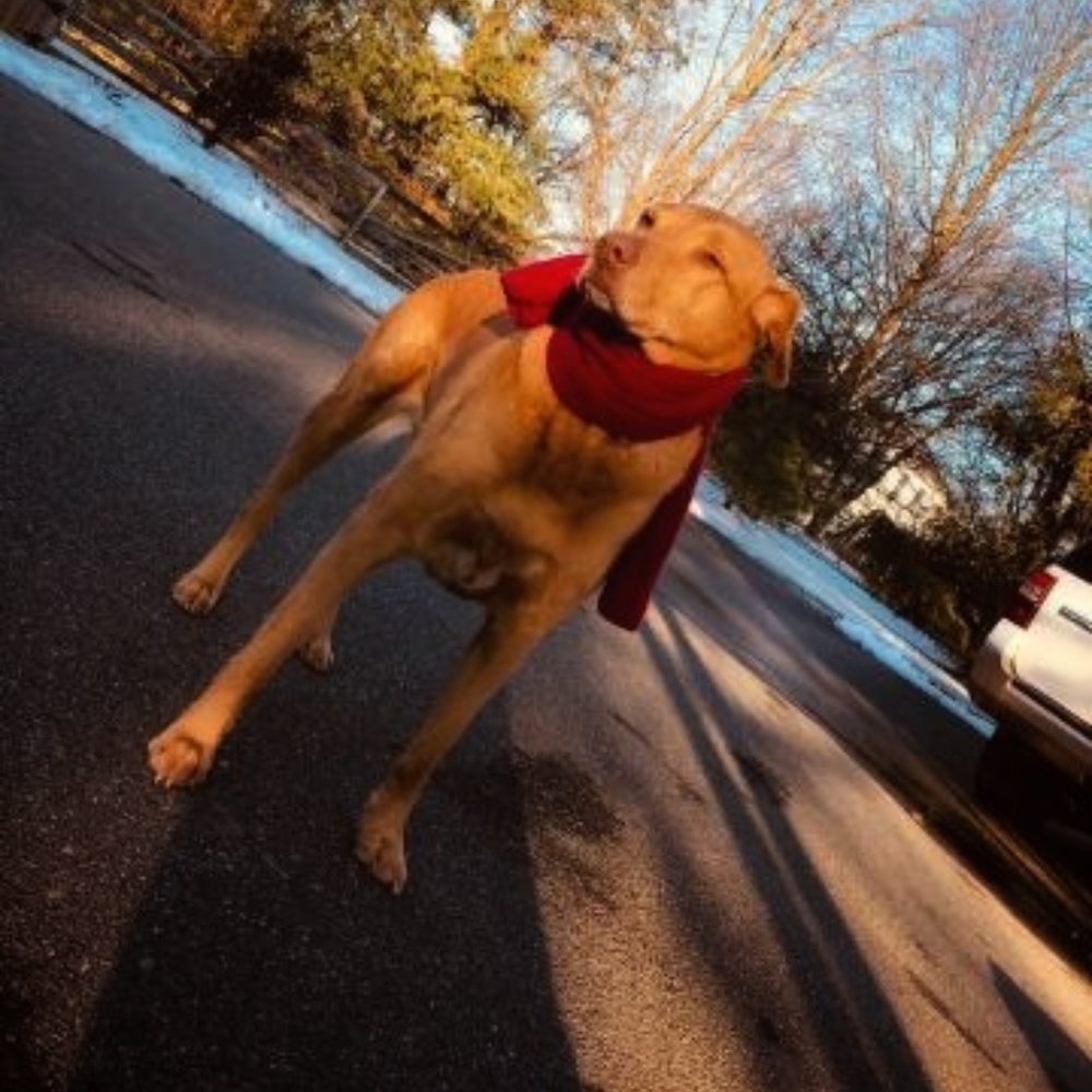 Meet your Posher, Mike